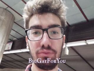BigGayForYou