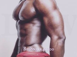 BigSnack42300