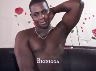 Bignigga