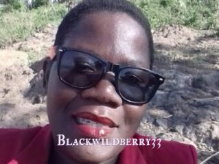 Blackwildberry33