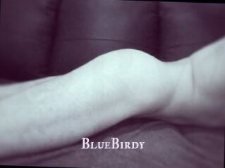 BlueBirdy