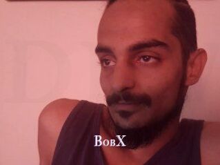 BobX