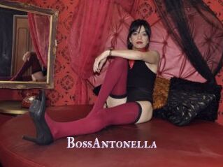 BossAntonella