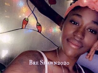 Bre_Shawn2020