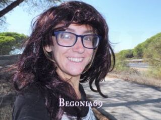 Begonia69