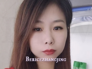 Bericezhangjing
