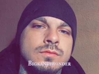 Bigkaneswonder