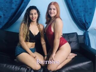 Bigtinys3