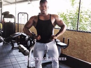 Blackbig10inches