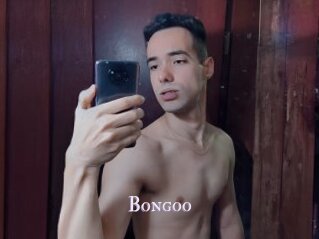 Bongoo
