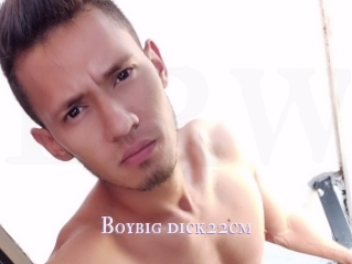 Boybig_dick22cm