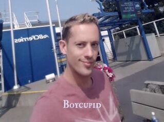 Boycupid