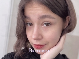 Breegrief