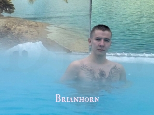 Brianhorn