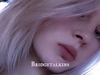 Bridgetalkins