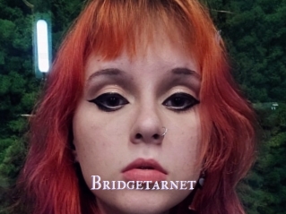 Bridgetarnet
