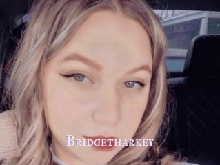 Bridgetharkey