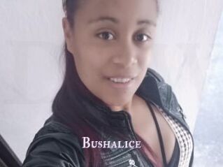 Bushalice