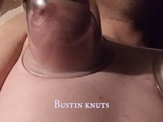 Bustin_knuts