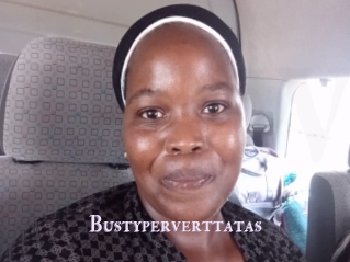 Bustyperverttatas