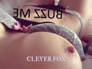 CLEVER_FOX