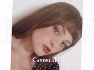 CandelaHg