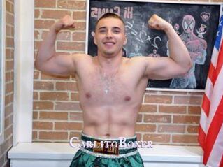 CarlitoBoxer