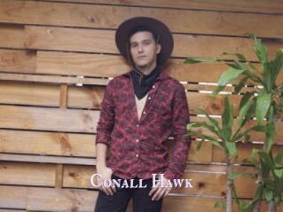 Conall_Hawk