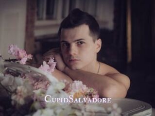 CupidSalvadore