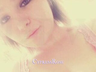 Cypress_Rose