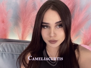 Cameliacurtis