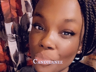 Candicanee