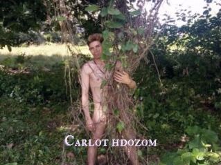 Carlot_hdozom