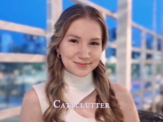 Cateclutter