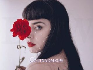 Catinadmeow