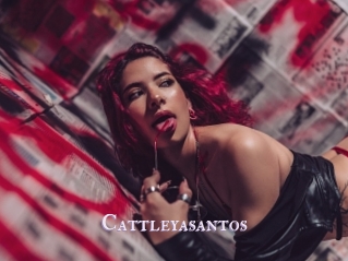 Cattleyasantos