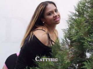 Cattybig
