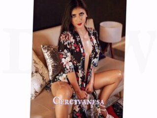 Cercyvanesa