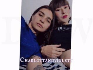 Charlottandviolett