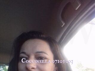 Coccinella-07105003