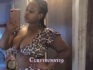Curvybunny19