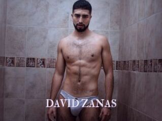 DAVID_ZANAS