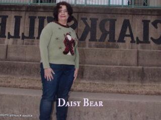 Daisy_Bear
