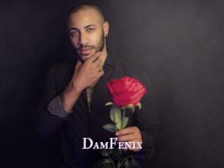 DamFenix