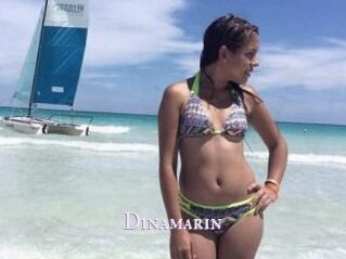 Dinamarin