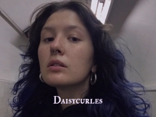 Daisycurles