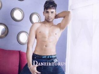 Daneil_torus