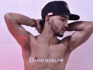 David_harlow