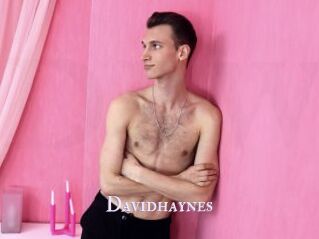 Davidhaynes