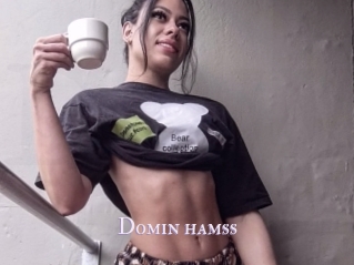 Domin_hamss